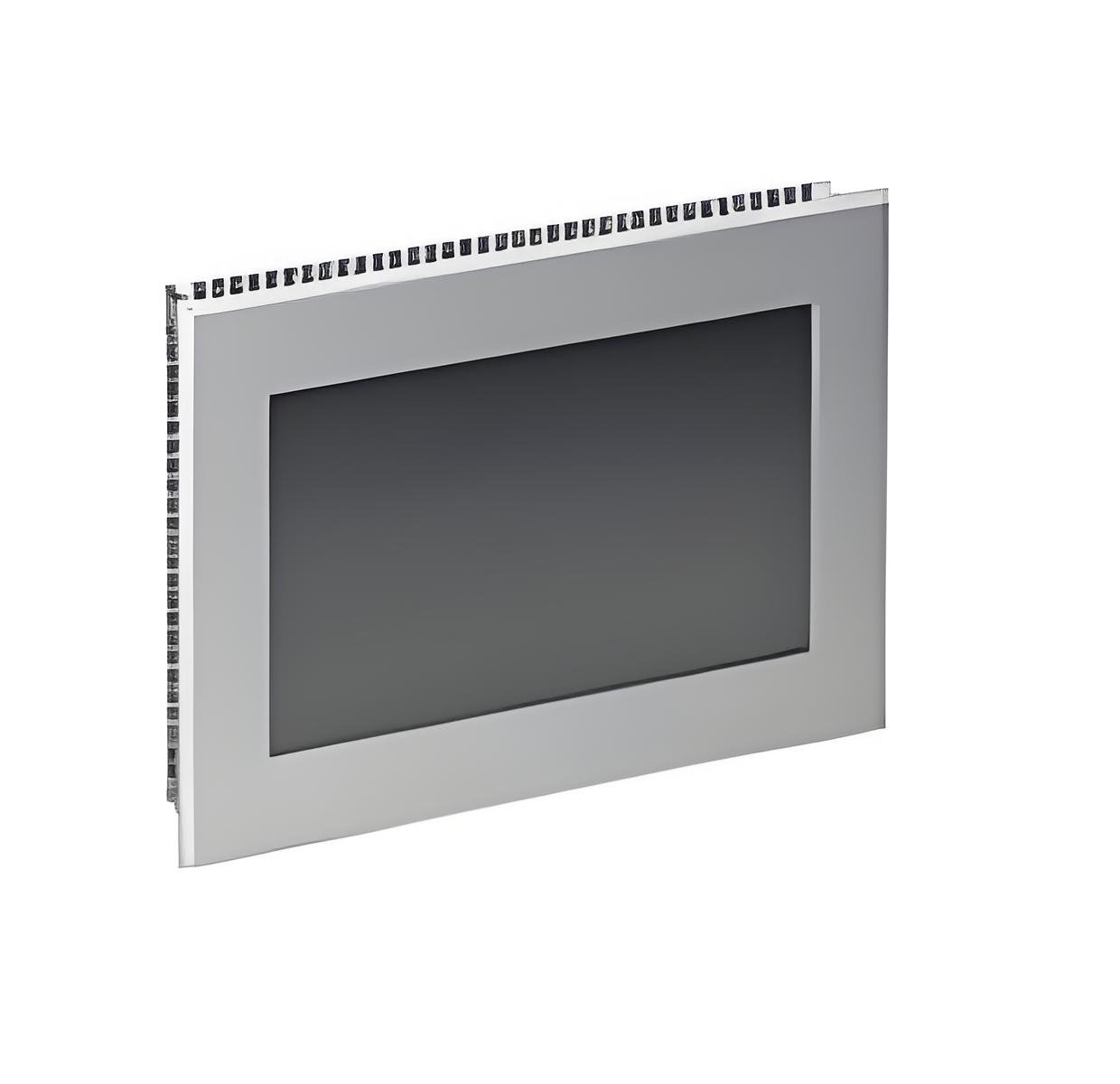 Graphic display module / 2400253