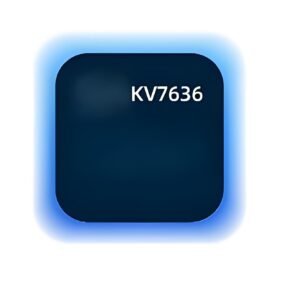 KV7636