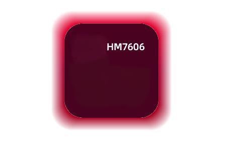 HM7606